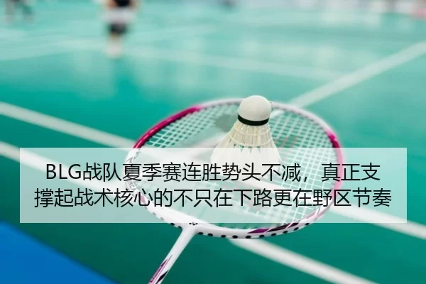 BLG战队夏季赛连胜势头不减，真正支撑起战术核心的不只在下路更在野区节奏